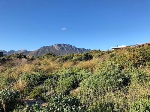 Secure, luxurious with lovely views, Pringle Bay (fotografie 8)