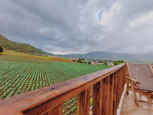 Villas Montelindo in Constanza