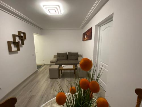 21Studio - Apartment - Hunedoara