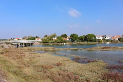 maison vue sur mer dans les dunes avec acces direct aux plages