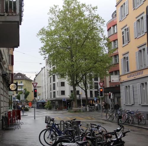 ที่เที่ยวใกล้ที่พัก, สเตย์2ไนท์ ซิตี้ เซ็นเตอร์ โฮสเทล (Stay2Night City Center Hostel) in ซูริค