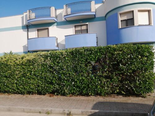 Residence Calle del Porto