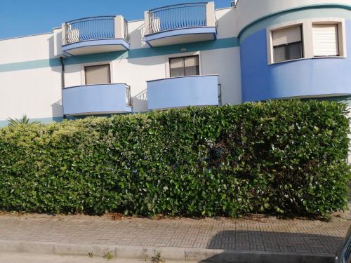  Residence Calle del Porto, Pension in Manfredonia