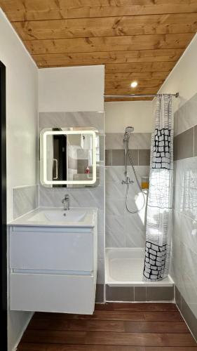 Lion's Room - 2 minute walk from Palais des Festivals and Beaches - Tap to explore photos