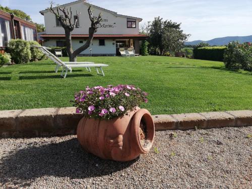  Agriturismo Diaccia Botrona, Castiglione della Pescaia bei Buriano