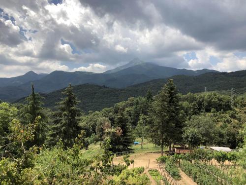  Apartamento con jardín, barbacoa y piscina en pleno Montseny Mas Romeu Turisme Rural in Arbúcies