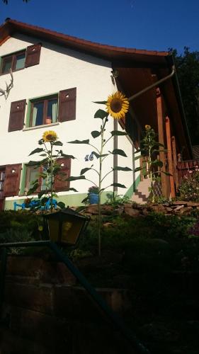 La casita linda in Eberbach, Deutschland