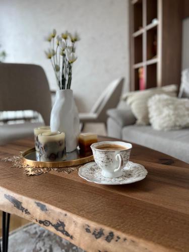 Maria's Elite Luxury Apartment Skopje, Скопье (фото 9)