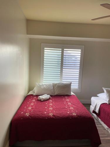 Private Los Angeles Room - Free WIFI, AC, TV, Private Fridge, Kitchen, near USC - Exposition Park - USC Memorial Coliseum - Banc of California BMO Stadium - Downtown Los Angeles DTLA - University of Southern California USC!!! in Los Angeles, USA