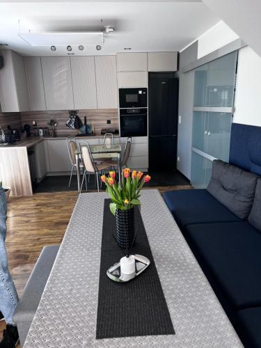 Apartament LIDER na wyłączność