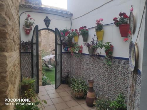 casa de los patios amurallados, Córdoba (foto 8)