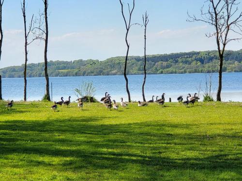 Sommerhus ved Mossø med søkig in Skanderborg