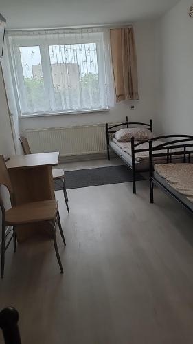 Noclegi - Accommodation - Starogard Gdański