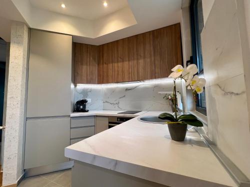 Maria's Elite Luxury Apartment Skopje, Скопье (фото 10)