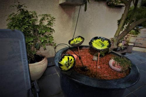 Maison Climatisée Piscine Pleine nature 6/8 P