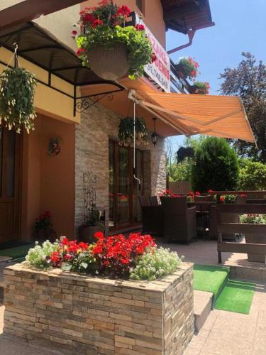 Vila Denis - Accommodation - Sinaia