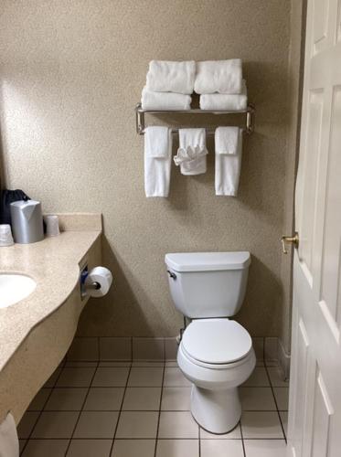 Holiday Inn Vicksburg an IHG Hotel - image 9