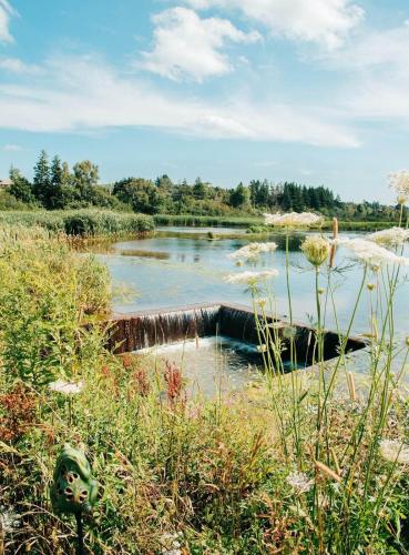Skats, Clinton Pond Bed and Breakfast in New London (PE)