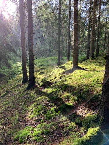 Panoramavy nära Gbg och natur