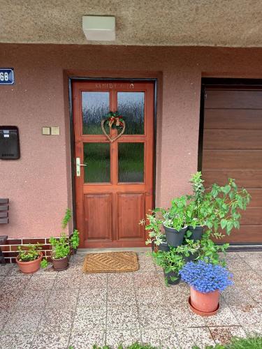 Rodinný dům pro hosty Vysočiny (Rodinny dum pro hosty Vysociny) in Nove Veseli