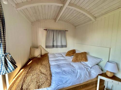 Shepherds Hut in enclosed field