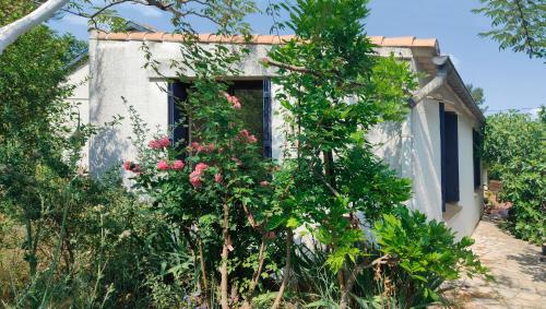 chambre privée dans maison en garrigue