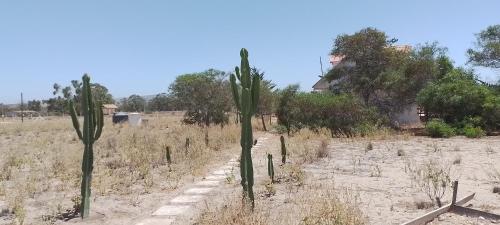 Acogedora cabaña cerca del mar