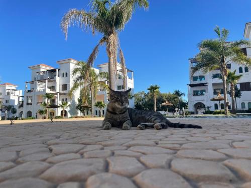 Maha Beach Cabo Negro Duplex 6 person restyled and renovated 2026 in Cabo Negro