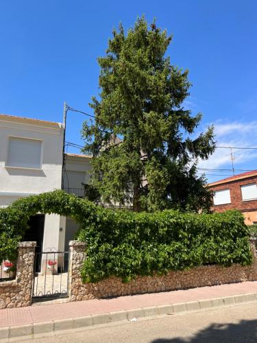 Kilátás, Paz Jardín-Madrigueras (Paz Jardin-Madrigueras) in Mahora