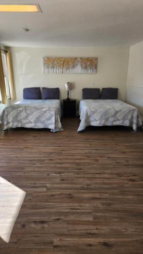Golden Arrow Motel - image 13