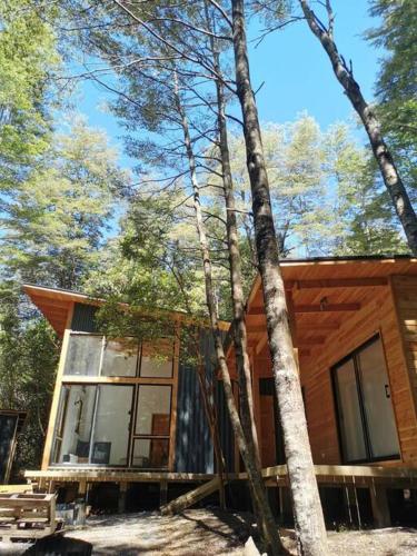 Cómodo chalet con tinaja rodeado de bosque nativo