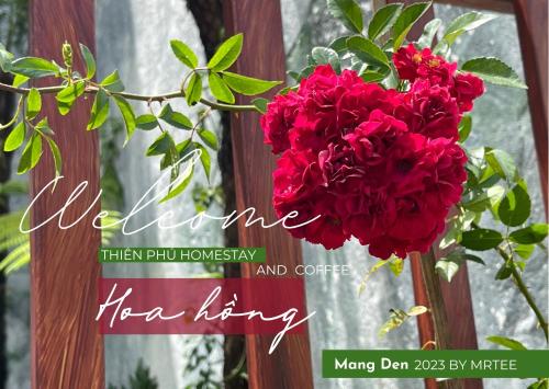 Thien Phu Homestay and Coffee - Mang Den