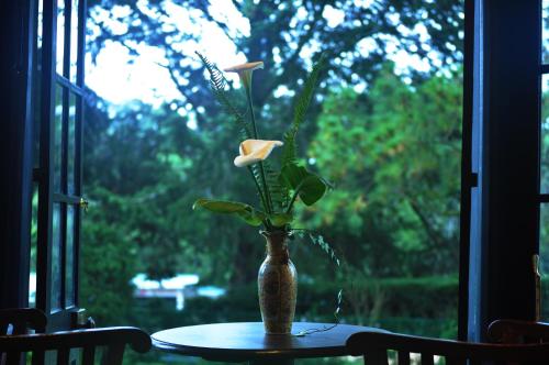 努沃勒埃利耶山間小屋 Hill Cottage Nuwara Eliya