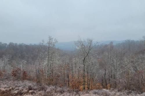 GREAT Guest Suite with Private Entry & Deck! ONLY 25 Mins to Nashville! Pets Welcome with Pet Fee