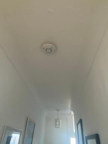 The garden flat - main image