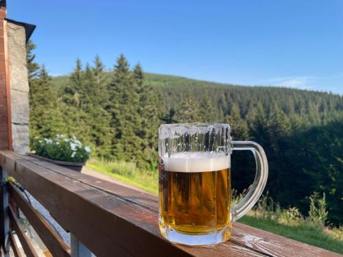 Surrounding environment, Apartman 105 Pec pod Snezkou in Cerny Dul