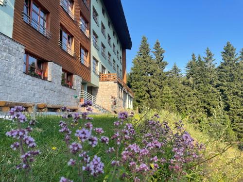 Exterior view, Apartman 105 Pec pod Snezkou in Cerny Dul