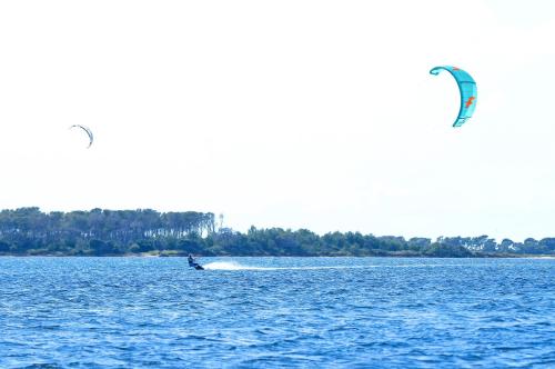 Casa B, Room 4 - Palm Kite Paradise