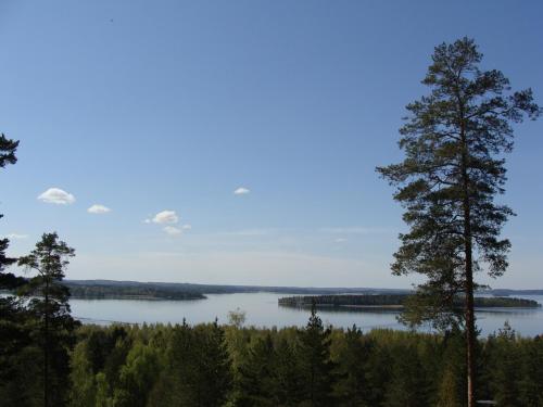 Hotel & Hostel Tallukka - image 10