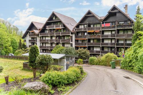 Ribeiro Cachoeira - Apartment - Sasbachwalden