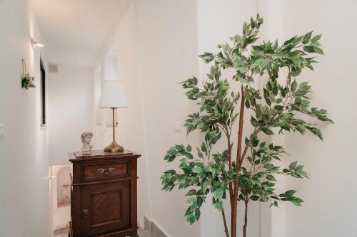 Apartment with Terrace image 6