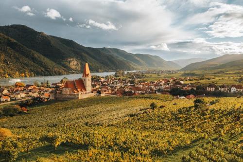 Weingut Ferdl Denk