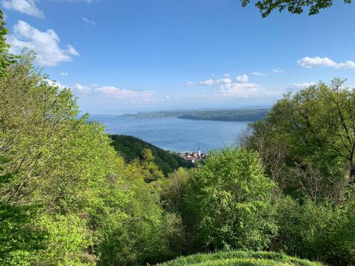 Vaatamisväärsus lähikonnas, Gasthaus Traube, Ludwigshafen, Bodensee, Seenah gelegen in Bodman-Ludwigshafen