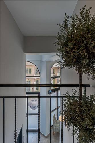 BED in Athens - image 7