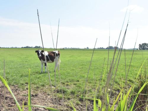 Recreational farm located in a beautiful area of Friesland