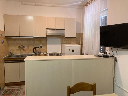 One-Bedroom Apartment image 4