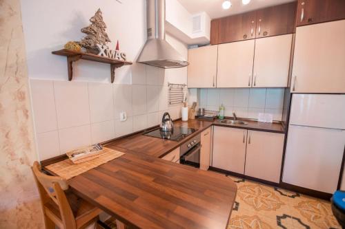 Apart-Invest Apartament Hajduczek, Sklářská Poruba (fotografie 7)