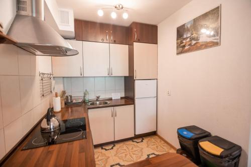 Apart-Invest Apartament Hajduczek, Sklářská Poruba (fotografie 8)