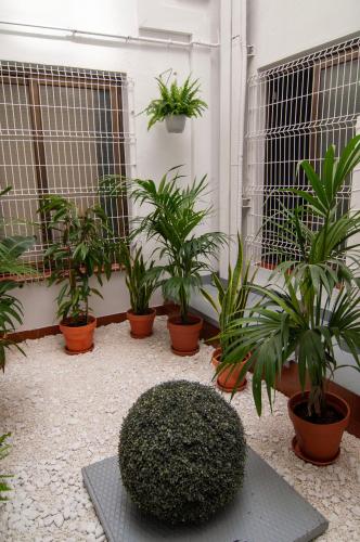 Kabul Party Hostel Barcelona - image 13