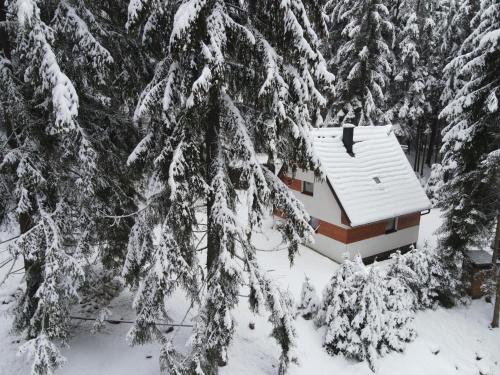 Chata Maco, Liptovský Mikuláš (foto 6)